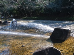 放水の時間