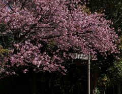 公園の一角
