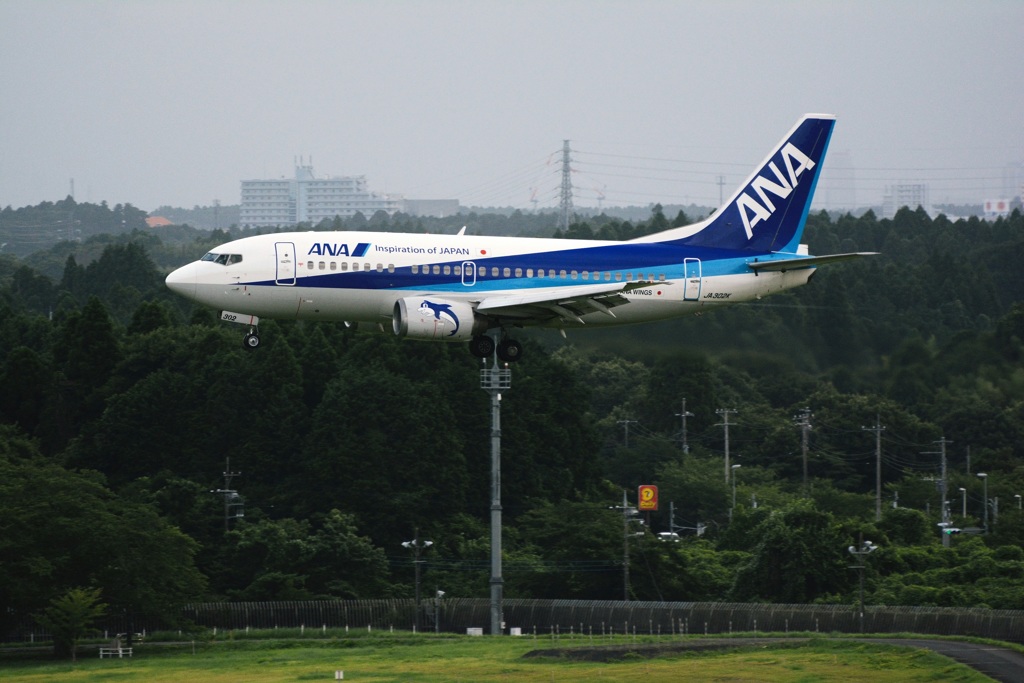 イルカの完成模型風