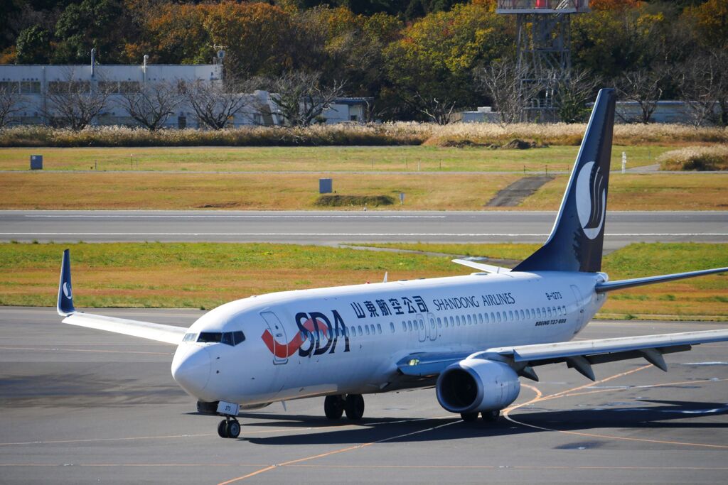 山東航空 ・737-800 (B-1273)