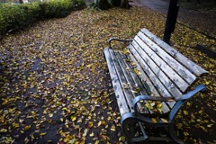 落ち葉が座るベンチ