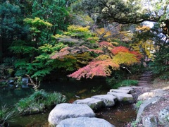 紅葉の成田山公園②