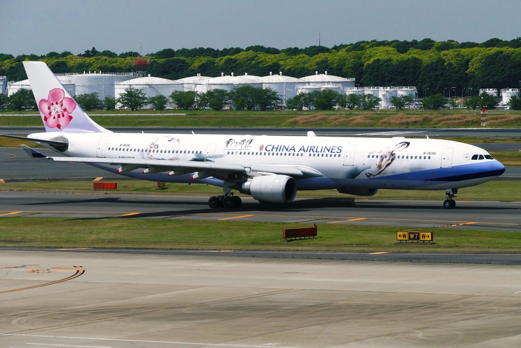 ダイナスティ A330-300 (B-18361)