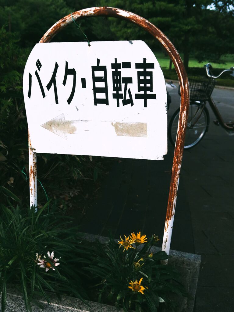 公園スナップ