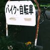 公園スナップ
