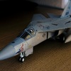 戦力増強機(模型です)