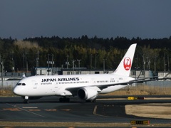 JAL 787-8 (JA823J)