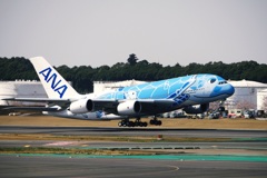 ANA A380 (JA381A)