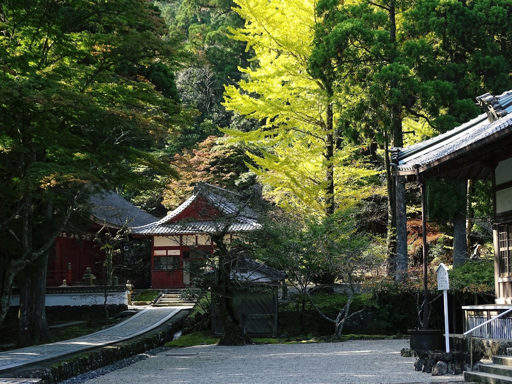 朝熊岳金剛證寺