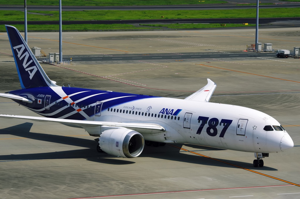 787-8　サバ1号