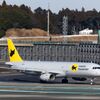陸がダメなら空へ