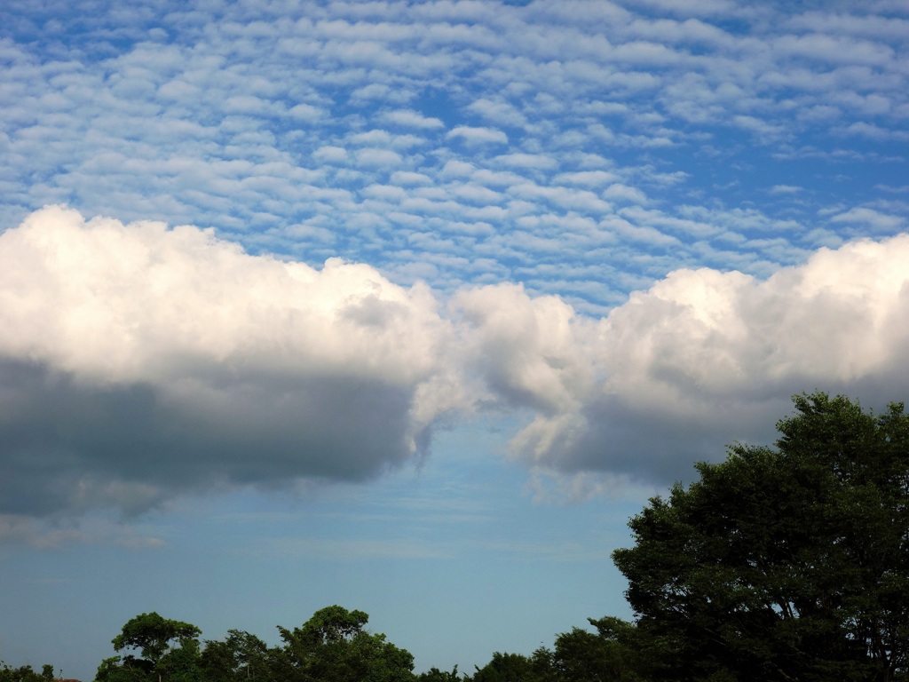 雲