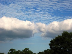 雲
