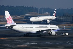ダイナスティ・A330-300 (B-18316)
