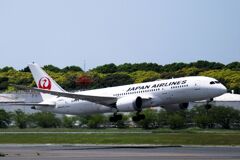 JAL 787-8 (JA829J)