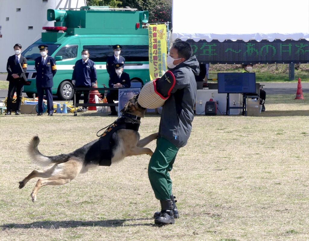 訓練の成果