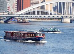 レースは日常的