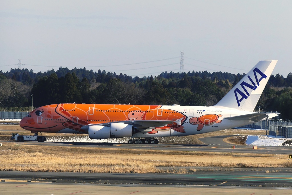 ANA・ A380 (JA383A)