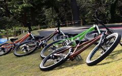 MTB