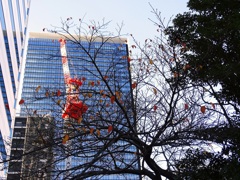 紅葉の残骸