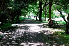 静かな公園
