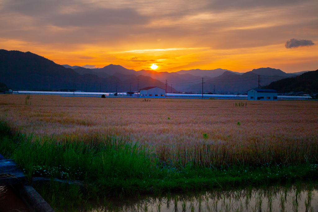 残したい風景