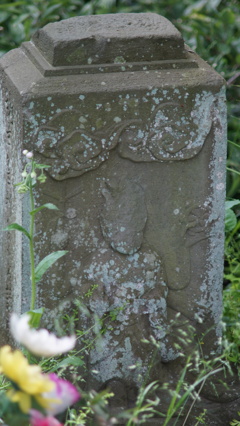 SMC PENTAX-M 135/3.5