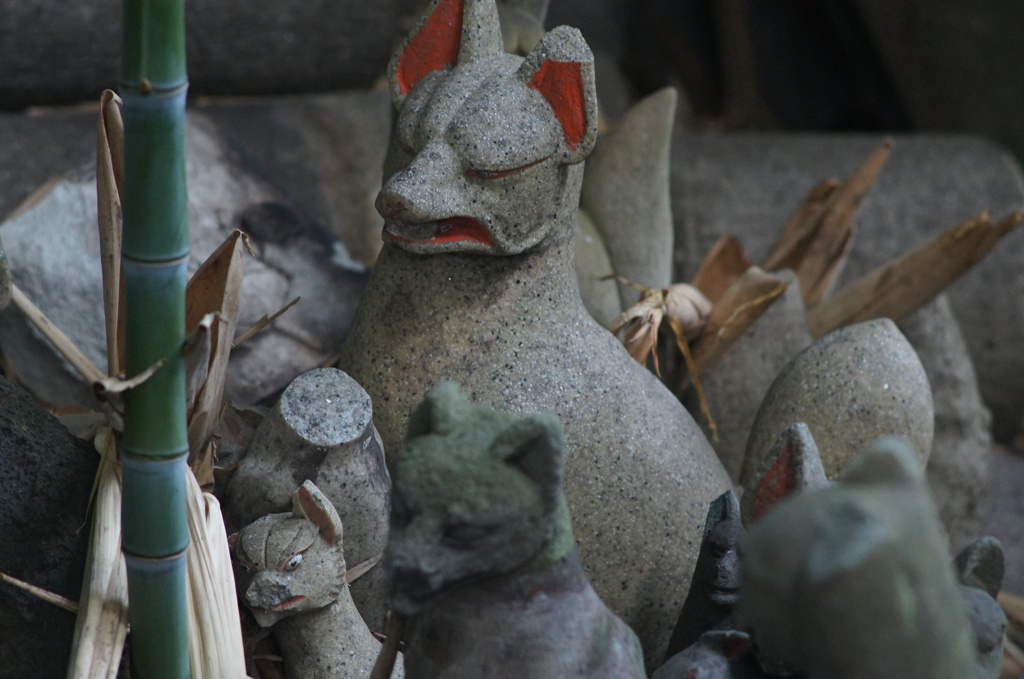 argus CINTAR 135/2.8