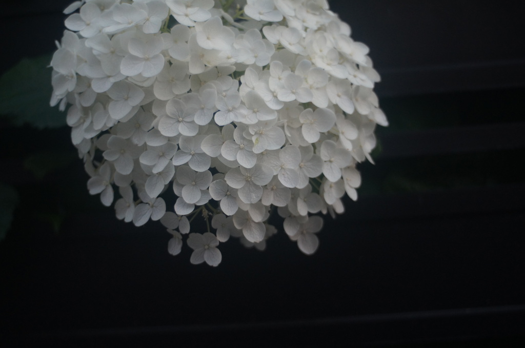 KOMURA W-KOMURA UNI AUTO 28/3.5