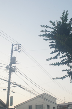 KOMURA W-KOMURA UNI AUTO 28/3.5