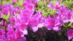 MRANDA 50/1.8