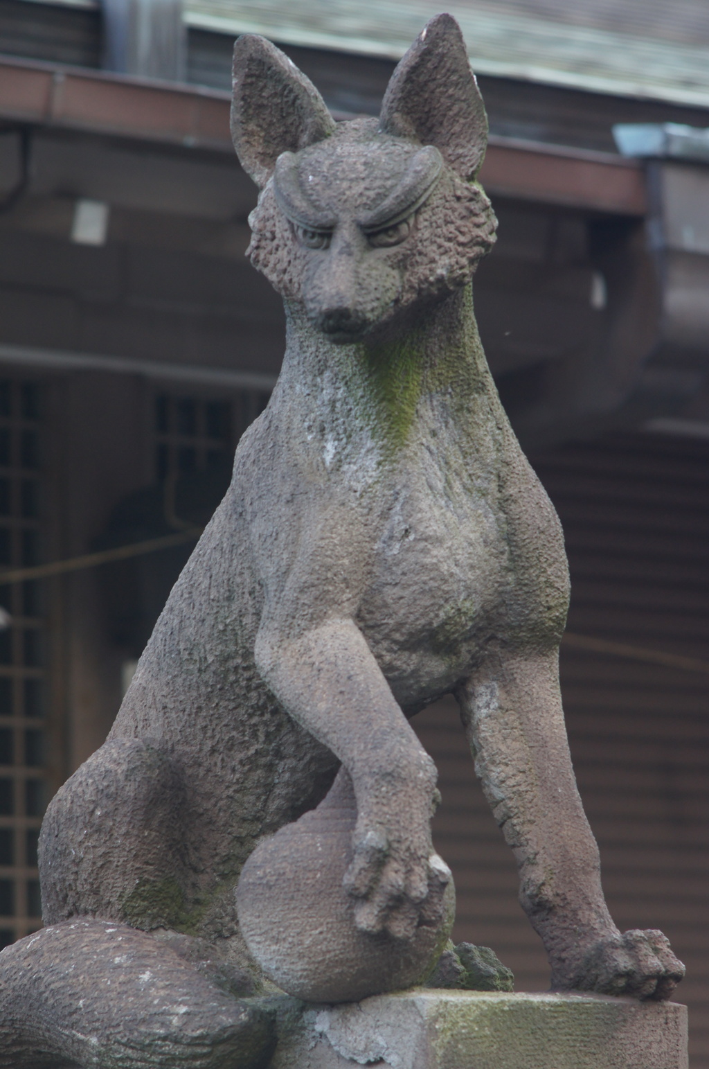 argus CINTAR 135/2.8