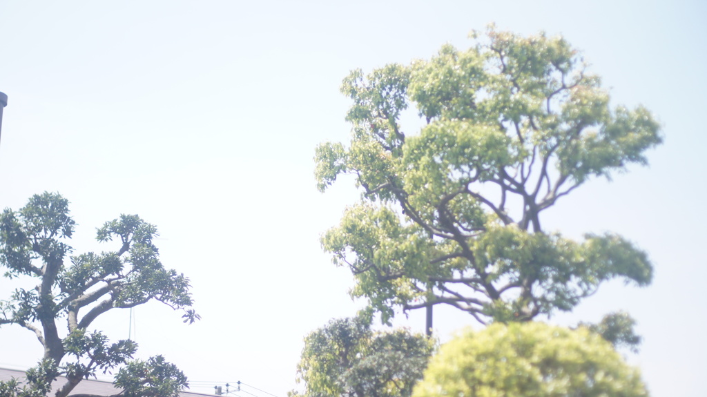 MAMIYA SEKOR CS 50/2