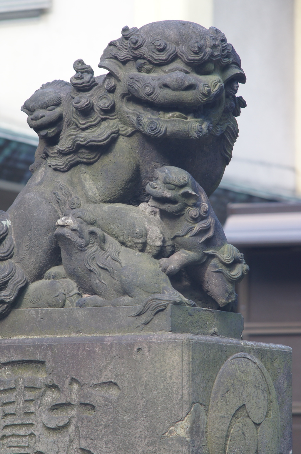 argus CINTAR 135/2.8