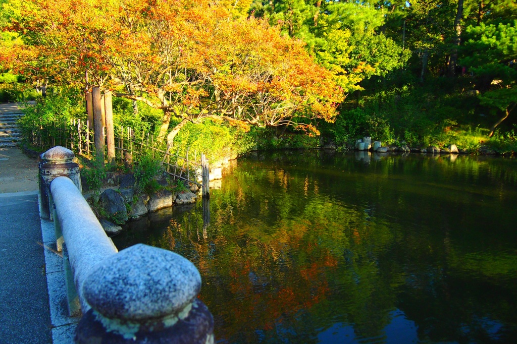 京都へ
