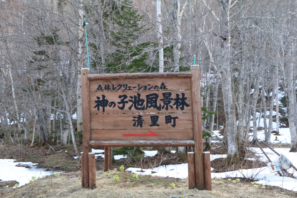 神の子池