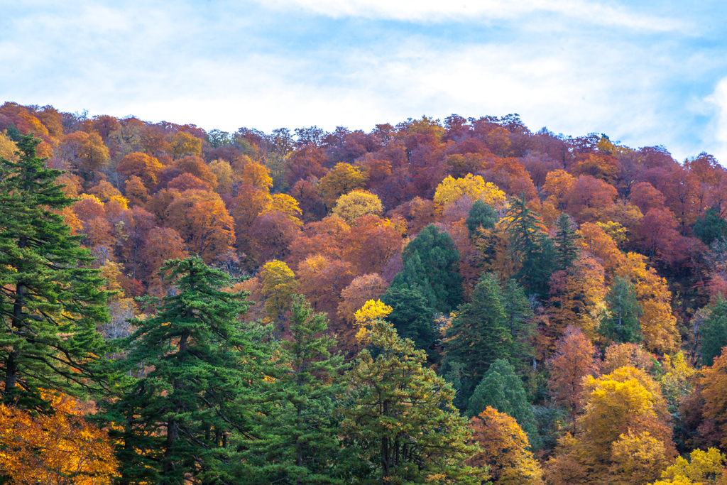 紅葉パッチワーク（桧枝岐村）