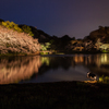 三渓園の夜桜６