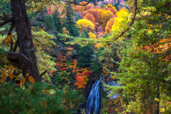 紅葉パッチワーク（桧枝岐村）