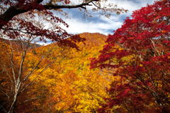 紅葉パッチワーク（桧枝岐村）