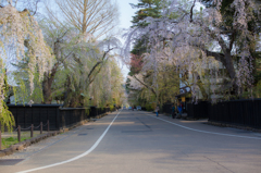花通り