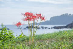 穏やな海辺