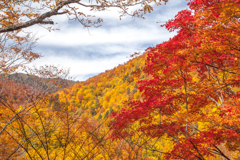 紅葉パッチワーク（桧枝岐村）