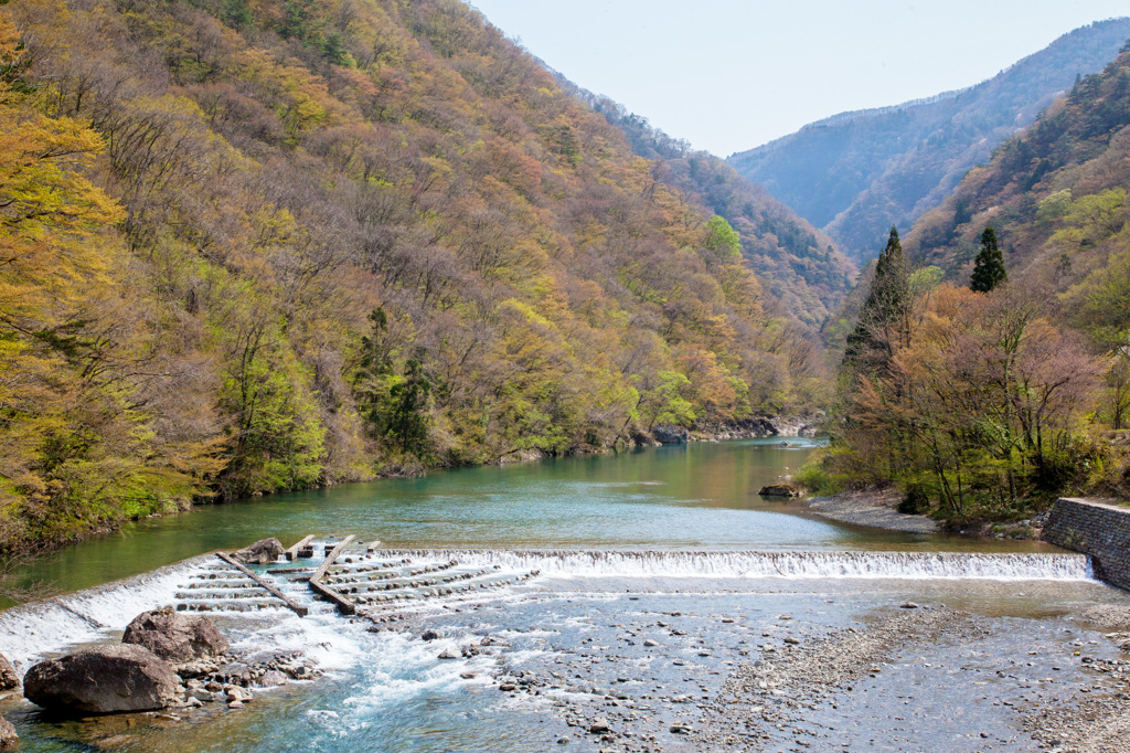 春の川