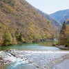 春の川