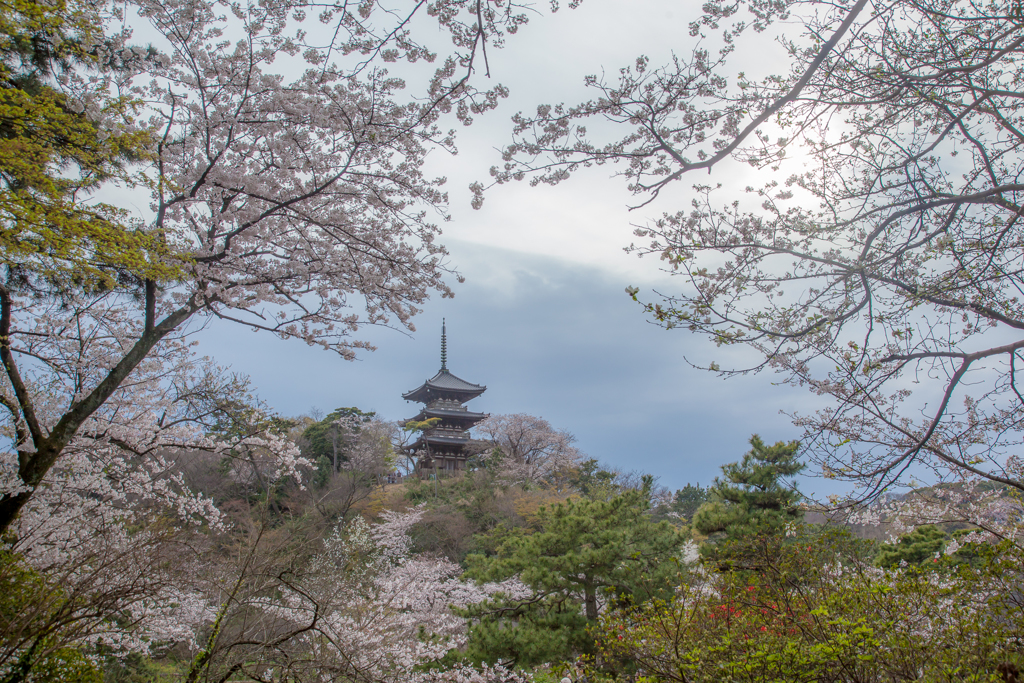 花曇り