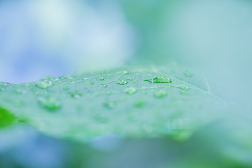 雨上がり