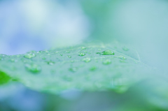 雨上がり