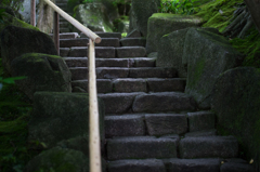 鎌倉報国寺　初夏６