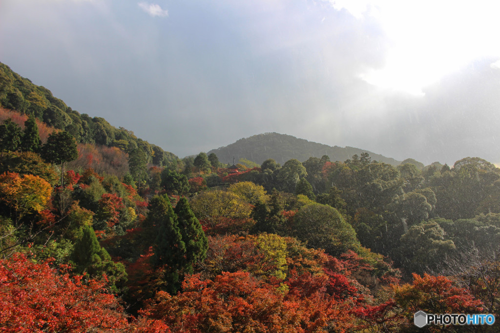 天気雨